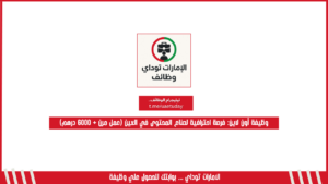 وظيفة أون لاين: فرصة احترافية لصناع المحتوى في العين (عمل مرن + 6000 درهم)