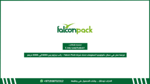 فرصة عمل في مجال تكنولوجيا المعلومات لدى شركة Falcon Pack – راتب يتراوح بين 6000 إلى 8000 درهم