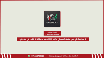 فرصة عمل في دبي: منسق لوجستي براتب 8000 درهم مع مكافآت نافس في جبل علي