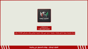 فرصة وظيفية مميزة للجنسين – وظيفة “محلل” في جهة حكومية بأبوظبي براتب يصل إلى 20,000 درهم