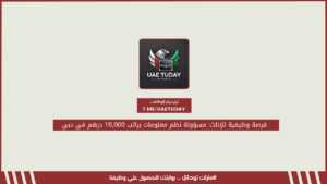 فرصة وظيفية للإناث: مسؤولة نظم معلومات براتب 10,000 درهم في دبي