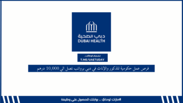 فرص عمل حكومية للذكور والإناث في دبي برواتب تصل الي 10,000 درهم