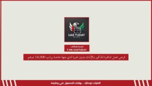فرص عمل شاغرة للذكور والإناث بدون خبرة لدي جهة خاصة براتب 14,000 درهم