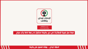 فرصة عمل فورية للإماراتيات في دبي: وظيفة استقبال لدى جهة خاصة براتب مجزي