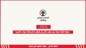وظيفة شاغرة: فرصة عمل محاسب مالي في أبوظبي للذكور والإناث برواتب تنافسية